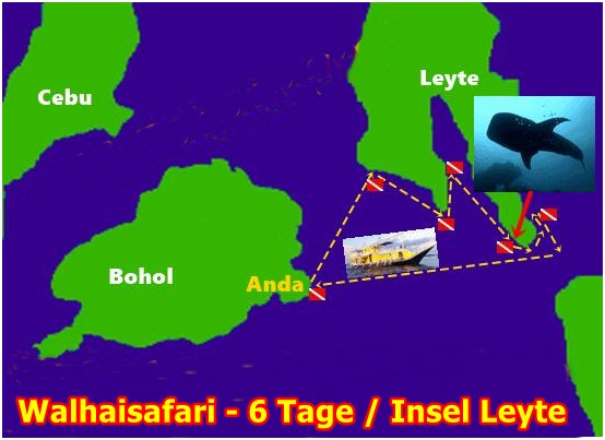 Mit dieser Walhai - Tauchsafari Philippinen -zur Insel Leyte Walhaie Philippinen - Tauchsafari Philippinen