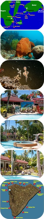 Tauchrundreise mit Tauchsafari Philippinen und Tauchen auf der Insel Cabilao Tauchsafari Philippinen und Insel Cabilao