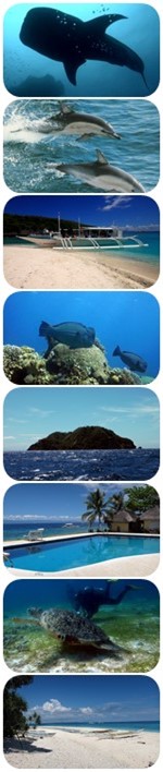 Inselhopping durch die Visayas der Philippinen inselhopping Philippinen