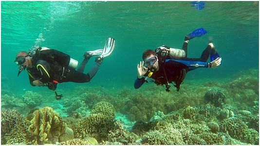 Tauchen Insel Cabilao Philippinen Tauchen auf Cabilao island im glasklarem Wasser