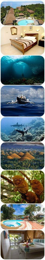 Tauchrundreise Moalboal Cebu, Bohol und Tauchsafari Tauchsafari Philippinen Cebu Moalboal