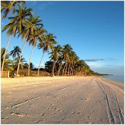 Strand von der Insel Siquijor Siquijor Island