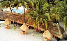 diveresort negros im cove sand beach resort