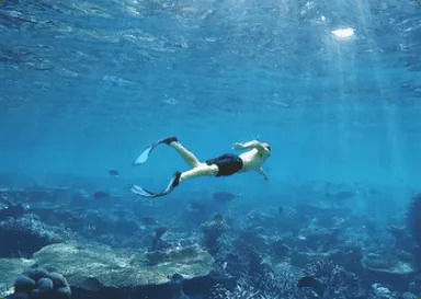 Diving Diving