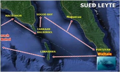 Tauchsafari Leyte Philippinen
